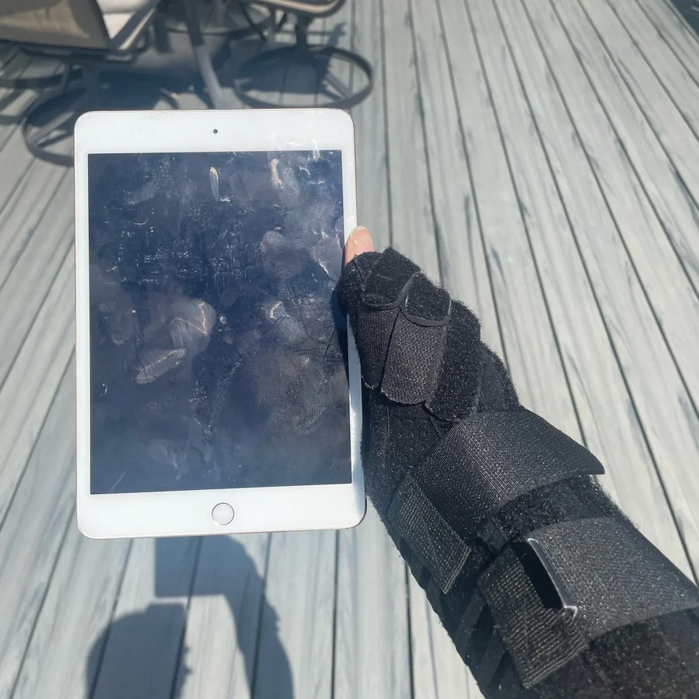 iPad Mini 4